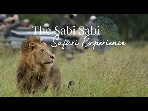 Sabi Sabi - The Safari Experience