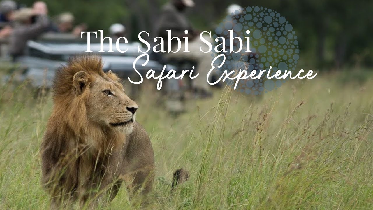 Sabi Sabi - The Safari Experience