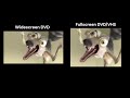 Valley And Friends 2002 Scrat In The Tiny Island Widescreen Fullscreen Side By Side