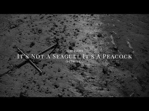 Acid James - It's Not A Seagull It's A Peacock (St Tropez) (Radio Edit) (Official Music Video)