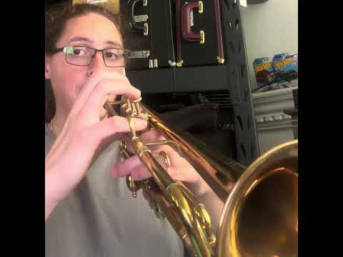 Calicchio 2 R2 ML Bore Trumpet Plus Tuxedo gig bag image 14