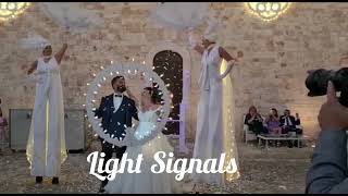 Farfalle Luminose