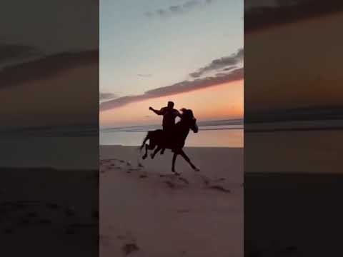 horse riding on beach