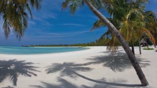 Gorillaz feat. D.R.A.M. - Andromeda (Purple Disco Machine Remix)