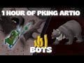 Loot From 1 Hour Of Pking Artio Bots/Pvmers