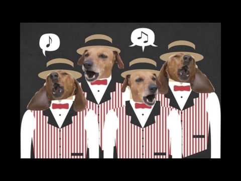 Jeannette Birthday Surprise