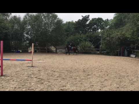 Grid Jumping (21/09/16)