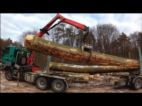 Prehrať video: Preprava dreva – TATRA