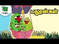 பலூன்கள் | பூல் பார்டி | Tamil Cartoon Stories For Kids | Tamil Cartoon Piku N Tuki 