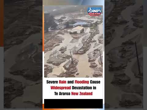 Severe Flooding Devastates Te Araroa, New Zealand