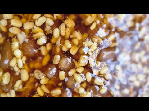 How to Cook Delicious and Simple Pomelo Sweet Soup at Home