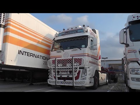Henry Hallmann & Sohn KG - Scania 144L 530 V8, Volvo FH, MAN TGA/TGX [HD]