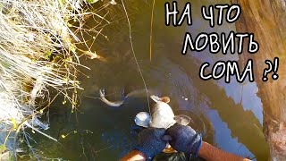 Ссылка