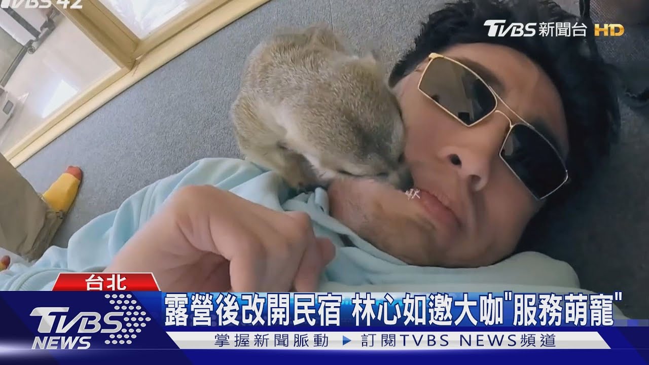 《光開門就很忙了》林心如「真邀到蘇有朋」　周興哲嚴格這面曝光