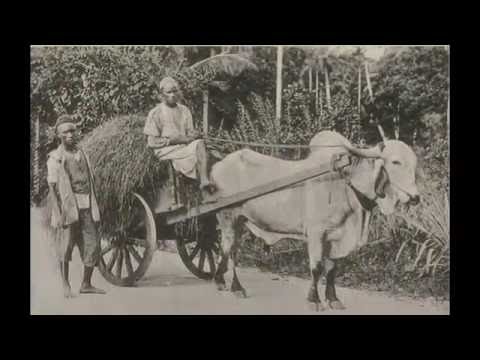 ZANZIBAR HISTORY:  The Ancient Time