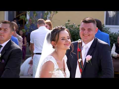 BEBE DRAGOMIR ARDELEANA LIVE NUNTA IOAN & GEORGETA RUSCA TEREGOVA 2019