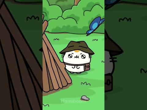 Hami goes to survival camp😭🐹 #hamiboom