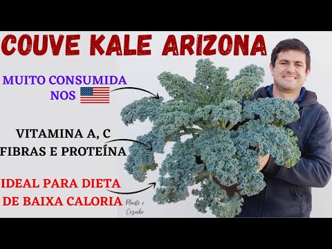 , title : 'COUVE KALE ARIZONA: DICAS DE CULTIVO, BENEFÍCIOS PARA A SAÚDE E OPÇÕES DE RECEITAS (Ep61)'