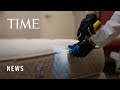Bed Bugs Aren’t Just a Problem in Paris. Here’s Why