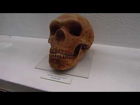 Spain, Andalusia: Sevilla (01.12.2018)