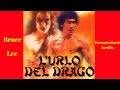 Bruce Lee L Urlo Del Drago Documentario In Italiano