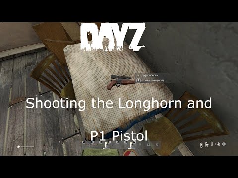 Shooting the Longhorn on Dayz Experimental
