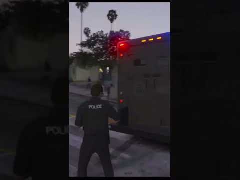 FBI decides to ruin Toowoomba’s time to SHINE ✨ #gtaroleplay #lspdfr #gtarp #gta5 #latenight #gaming