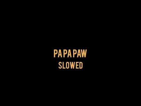 DAMSO - PA PA PAW (SLOWED)