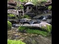 Enjoy Life By Airr