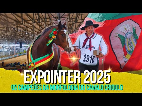 THE MOST BEAUTIFUL HORSES - ALL THE EMOTION OF THE CHAMPIONS OF CRIOULO HORSE MORPHOLOGY AT EXPOI...