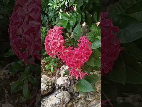 13 de septiembre de 2024