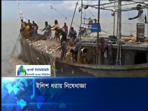 ইলিশ ধরায় নিষেধাজ্ঞা
