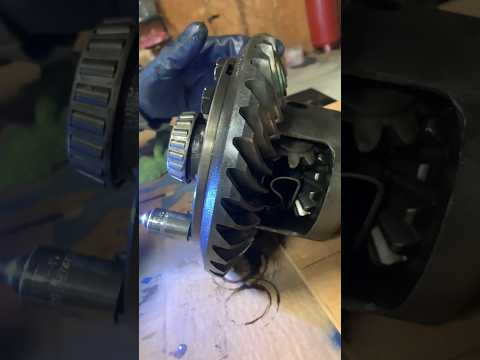 Upgrade Your Crown Victoria's Performance with These Gear Installation Tips