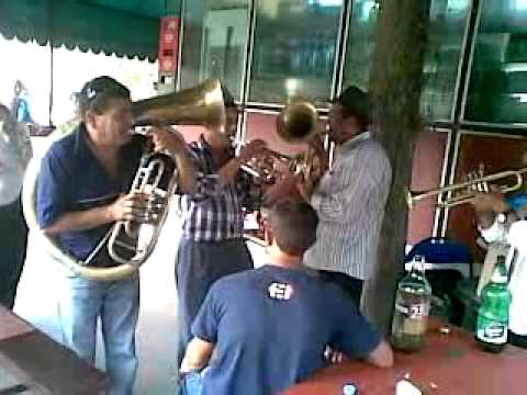 fanfara   de la  glavanesti  bacau