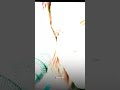 TU Asia Baji Hai O Yara Jita Jisko Me Whatsapp Status