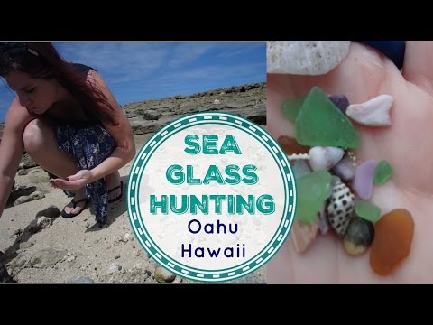 download lagu mp3 mp4 Sea Marbles Oahu, download lagu Sea Marbles Oahu gratis, unduh video klip Download Sea Marbles Oahu Mp3 dan Mp4 Music Gratis