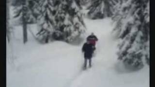 preview picture of video 'Vallorcine Snowshoeing'