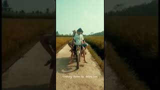 Download lagu story wa lungo awak ku seng kudu lungo(cidro)  #cidro #lungoawakkusengkudulungo #storywaterbaru mp3