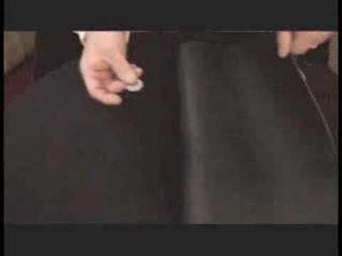 Bye George DVD by Al Lagomarsino