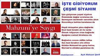 İşte Gidiyorum Çeşmi Siyahım - Demet AKALIN &amp; Ahmet ASLAN (Şiir Cover)