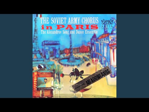 Song Of Troubled Youth