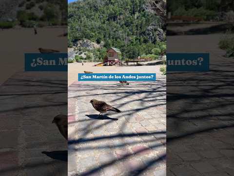 Descubrí los Mejores Spots de Bariloche y San Martín de los Andes
