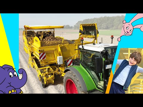 Moritz und die Maschinen: Der Kartoffelroder - Wie werden Kartoffeln geerntet? Der Elefant | WDR