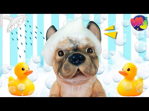🐶 BAÑO a mi PERRITO ABANDONADO en la BAÑERA con MUCHAS BURBUJAS 🛁 🫧