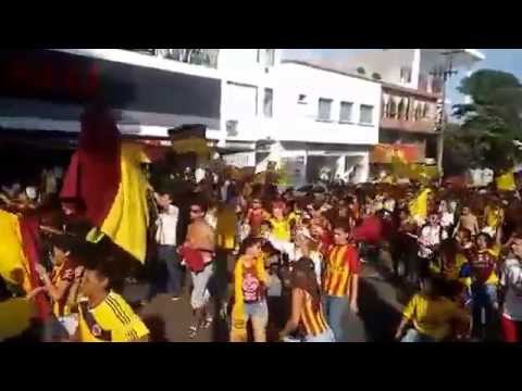 "MARCHA CARNAVAL 60 AÑOS" Barra: Revolución Vinotinto Sur &bull; Club: Tolima