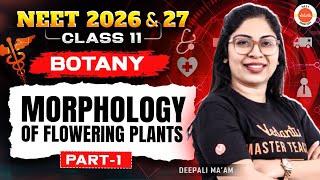 Morphology of Flowering Plants - Part 1