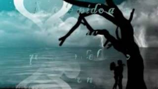 Efecto Mariposa  - A la Luna -