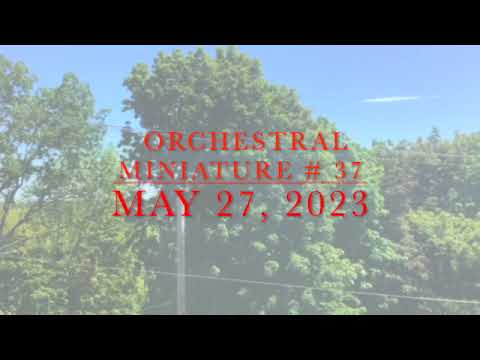 Orchestral Miniature # 37