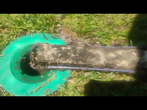 Why the Sentricon® Stations Work Againist Termites in Montgomery, NJ