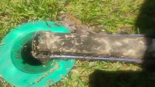 Why the Sentricon® Stations Work Againist Termites in Montgomery, NJ